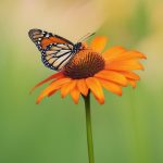 great recession books. books on great recession