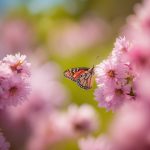 springtime books. books on springtime